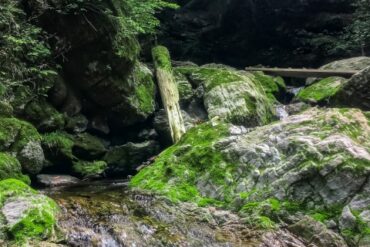 苦しみ、災難から救う 神瀧山清龍寺不動院　開運洞窟巡り 白菊稲荷大明神