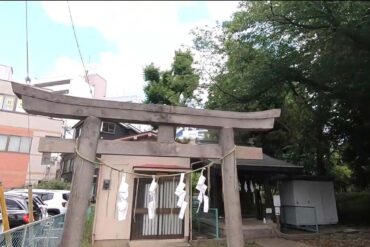 【神棚】榊のつぼみ、花が咲いた時は神様からの重要メッセージ