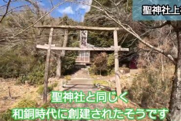 採れたて榊で草木染めがしたい！ 埼玉県・ときがわ町「草木の魔法」でトートバッグ染物体験