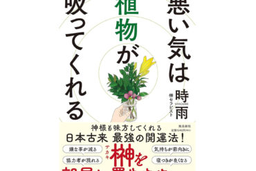 【神奈川県/小田原市】竜宮神社へお礼参り＆出版祈願
