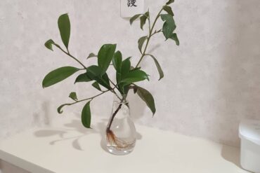 【王子稲荷神社】お稲荷様と強く繋がるポイントは狐穴 東京都北区