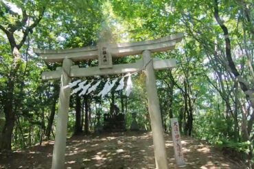 榊を庭に植えてはいけない説がある！？