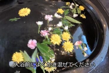 【ニフティ不動産】榊を選ぶ理由と選び方