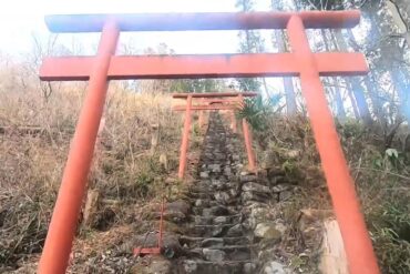 【神札】埴安姫神様と榊でトイレをパワースポットに