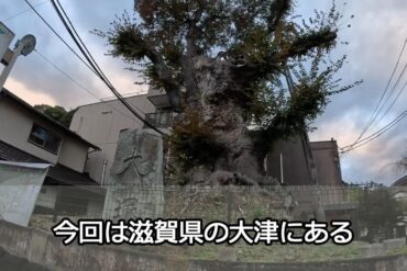 【城ヶ島観光】島の神社＆名所巡り 神奈川県三崎市